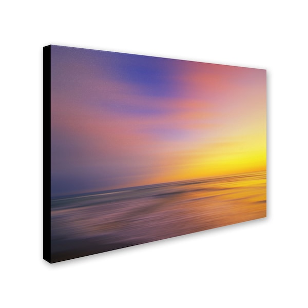 Philippe Sainte-Laudy 'Metallic Sunset' Canvas Art,22x32